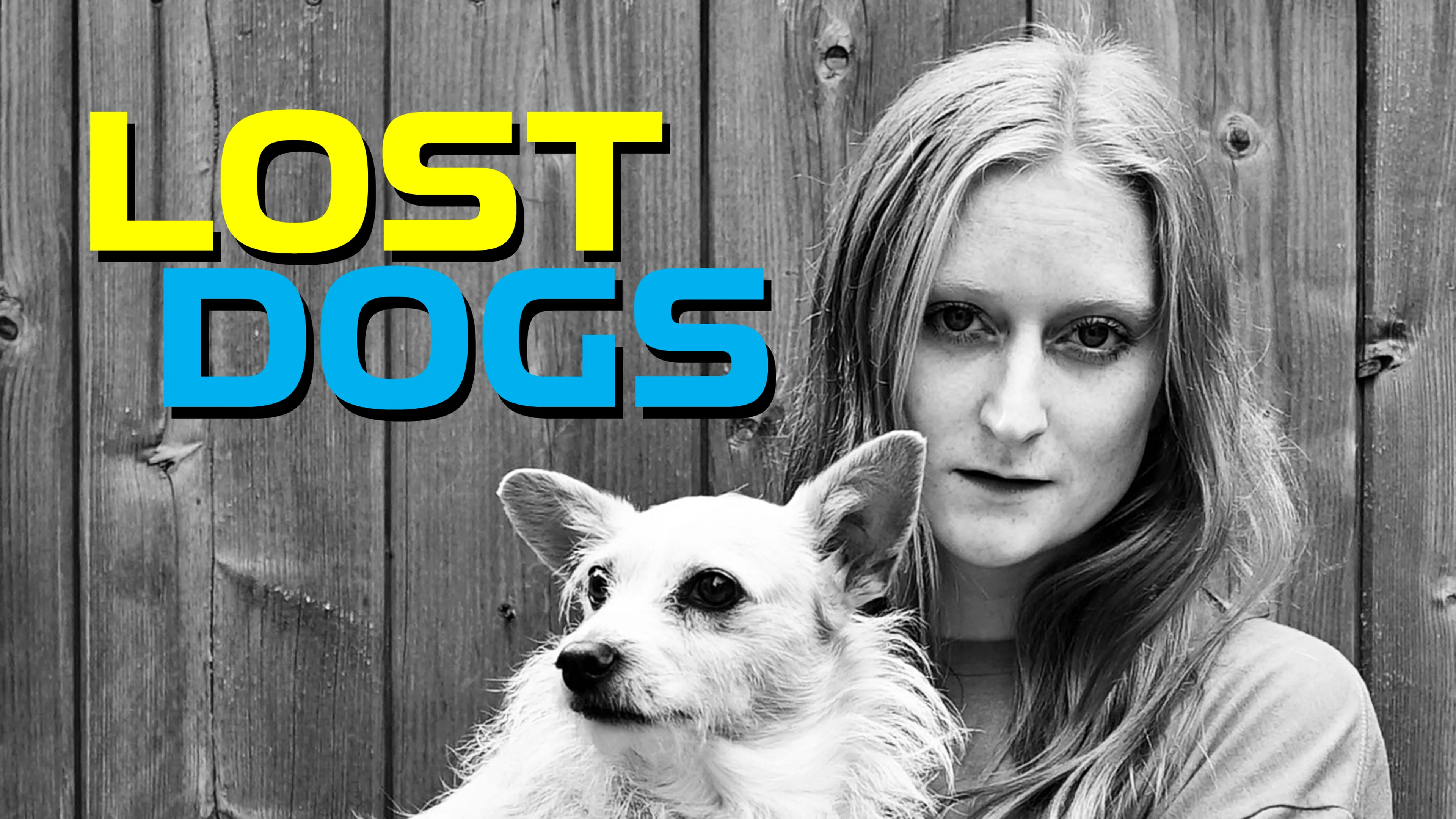 Lost Dogs poster